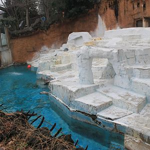 Polar Bear enclosure