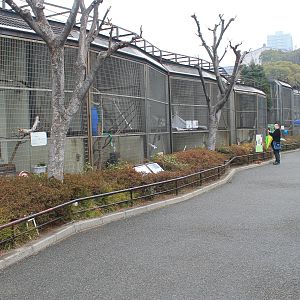 Primate cages