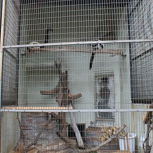 Primate cage example (Ruffed Lemurs)