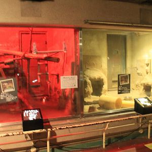 Nocturnal House (Kinkajou and Bettong)