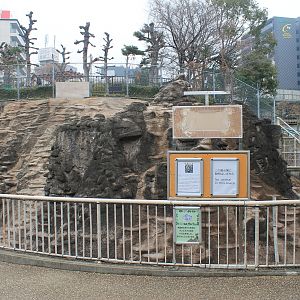 disused Mouflon mountain