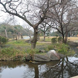 African Savannah exhibit
