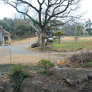 African Savannah exhibit