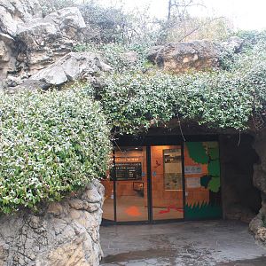 Entrance to the reptile house IFAR
