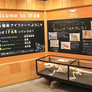 Entrance to the reptile house IFAR