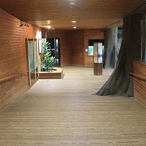 Entrance to the reptile house IFAR