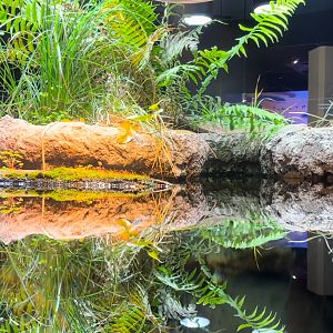 Toledo Zoo - Museum of Science: Ecosystem Rotunda