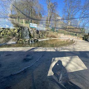 Flamingo enclosure view 2