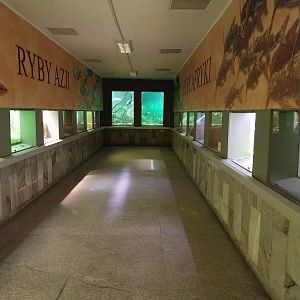 Palmiarni Poznan - Asian (left) and African section