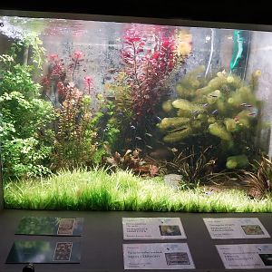 Palmiarni Poznan - America