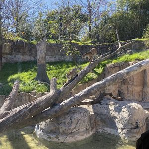 Rojo’s first day out