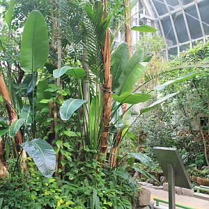 Butterfly House - Minoh Park Insect Museum (Osaka)