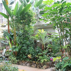 Butterfly House - Minoh Park Insect Museum (Osaka)