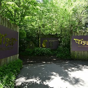 Tiger Mountain - Entrance