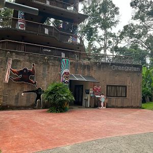 Bornean Orangutan Educational Tower and Gallery, Ubon Ratchathani Zoo