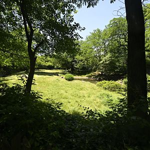 African Plains - Nyala/Kudu/Gazelle Exhibit