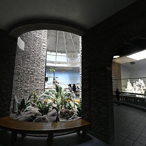 Carter Giraffe Building - Scenery