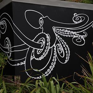 Mural of Octopus, open day at VUW Coastal Ecology Laboratory (Island Bay, Wellington)