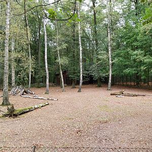 Bawean Deer (Axis kuhlii) enclosure