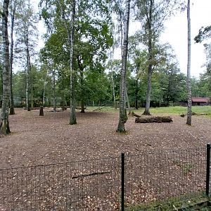 Timor Deer (Rusa timorensis) enclosure