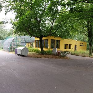 Monkeys & nocturnal animals