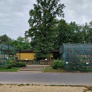 Monkeys & nocturnal animals - Ringtailed lemur (right) - Red-bellied lemur (left)