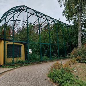 Lemurs & nocturnal mammals - Red Ruffed Lemur (Varecia rubra)