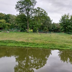 South America - Pampa