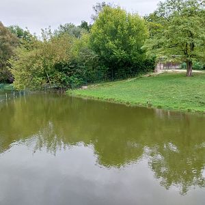 South America - Pampa