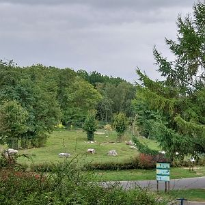 South America - Pampa