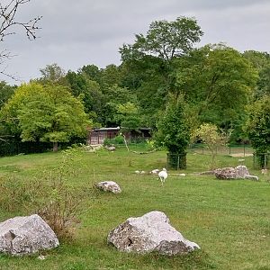 South America - Pampa