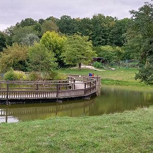 South America - Pampa viewing point