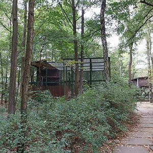 Birds of Prey - general view