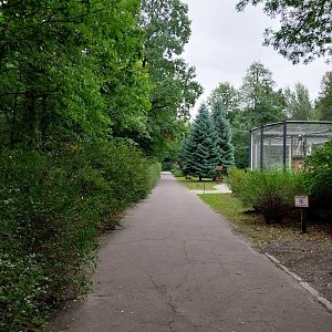 Birds of Prey - General view