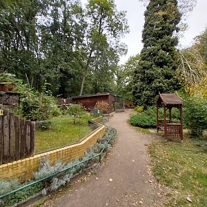 Small Carnivores - General view