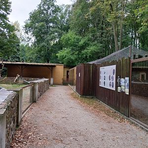 Small Carnivores - General view