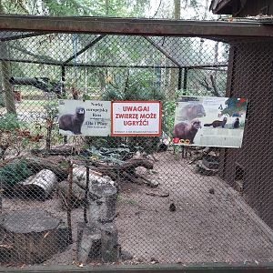 Small carnivores - European Mink (Mustela lutreola) enclosure