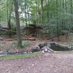 Small carnivores - Eurasian Lynx (Lynx lynx) enclosure