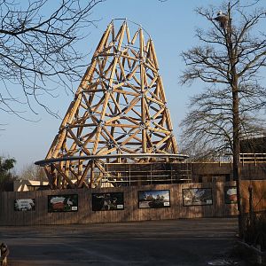 Construction of new entrance, with 28 meter high bamboo tower now completed, 2025-03-02