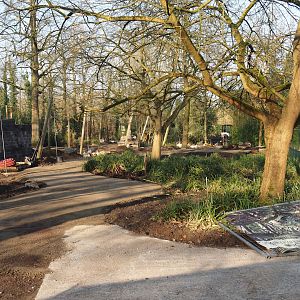 Renovation of the Asian aviaries and construction of a new walkway near the Asiatic lion exhibit, 2025-03-02