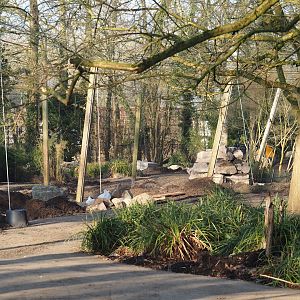 Renovation of the Asian aviaries and construction of a new walkway near the Asiatic lion exhibit, 2025-03-02