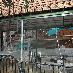 Construction on the indoor aviary in the orangutan greenhouse, 2025-03-02