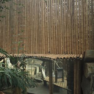 Sumatran orangutan indoor exhibit, now with bamboo poles covering up the top, and remaining viewing area, 2025-03-02