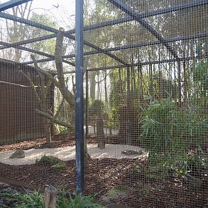 Renovated Mexican military macaw aviary, 2025-03-02
