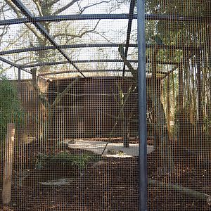 Renovated Mexican military macaw aviary, 2025-03-02