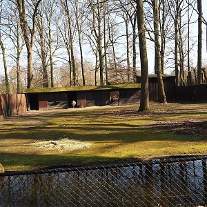 Separate paddock for Darwin's rheas, 2025-03-02