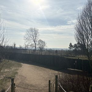 Trees Being Cleared For NSCC!
