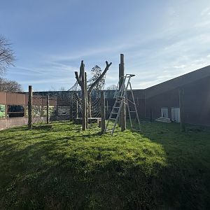 Refurbishments In The Diana Monkey Enclosure