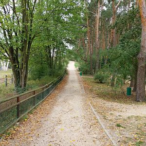 General view near Gemsbok enclosure