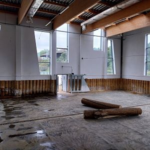 Giraffe & Rhino Building - Eastern Black Rhino (Diceros bicornis michaeli)